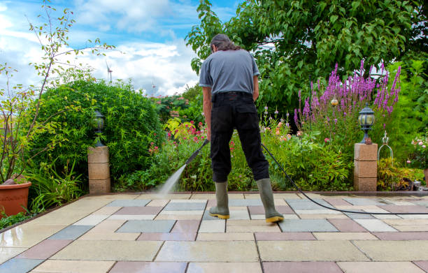 Best Animal Enclosure Cleaning  in Plainfield, IL